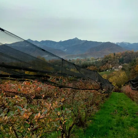Immerso Nel Verde Bricherasio